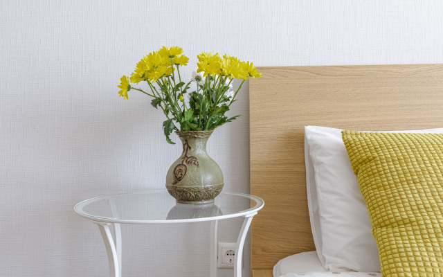 Студия Живи в Песочном Садовая 81