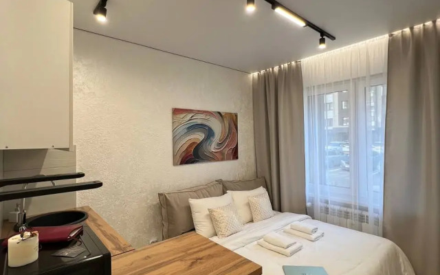 Studiya V Tsentre Goroda U Aeroporta Apartments