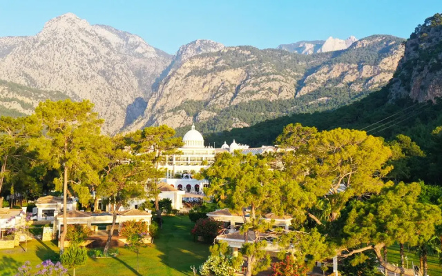 Juju Premier Palace 
