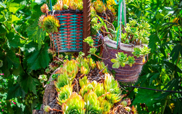 Отель 4 Rooms Boutique