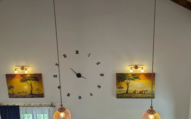 Частный дом озле реки