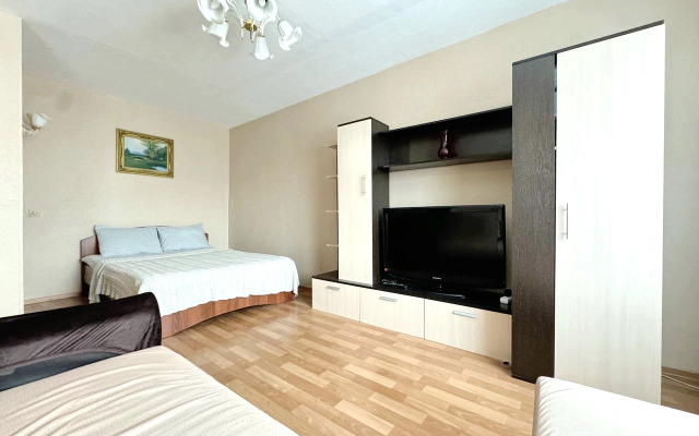 Квартира однокомнатная в центре на Дарвина