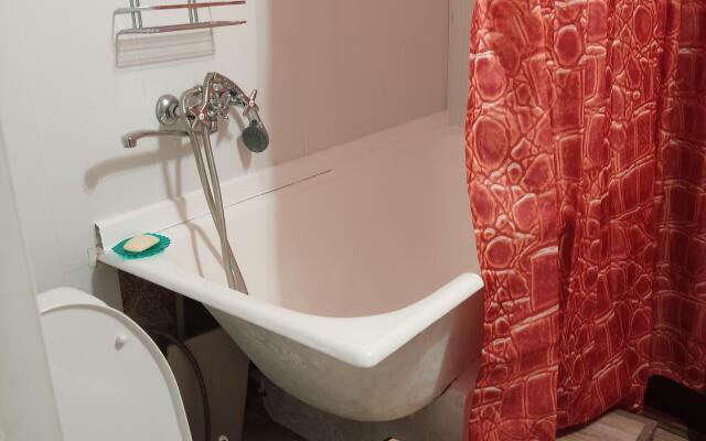 Двухкомнатная  квартира в Центре на Рожанского