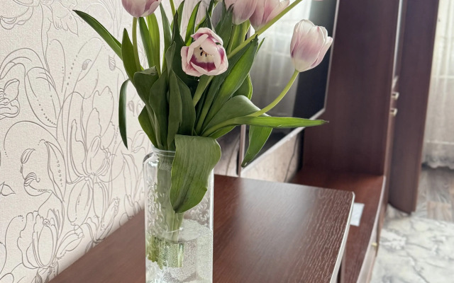 Квартира Уютная квартира в пешей доступности с горнолыжным комплексом