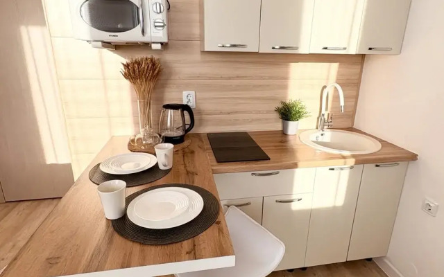 Апартаменты Рябинина 47