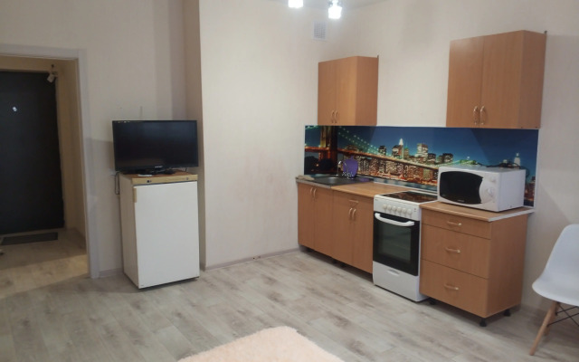 Studiya V Samom Tsentre Goroda Krasnoyarska Flat