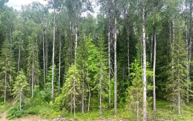 Na Marshaka Flat