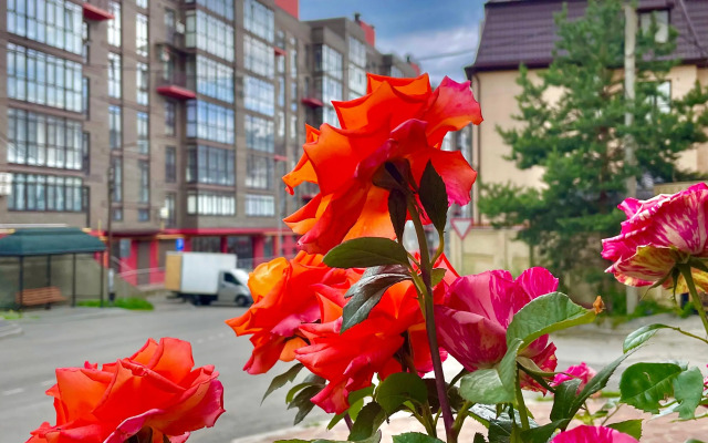 Апартаменты на улице Декабристов 36