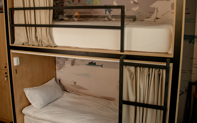Ayla Hostel