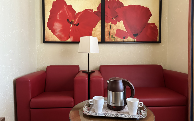 Vnukovo Port Guest House