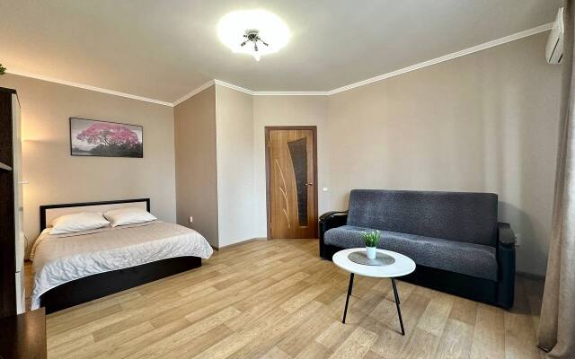 Квартира Однокомнатная Революционная 7