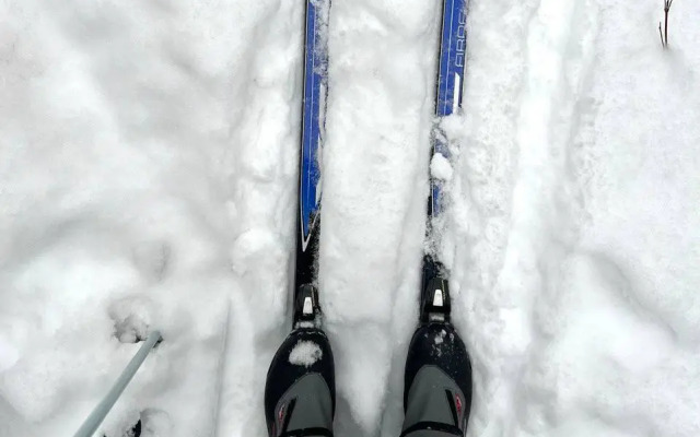 Апартаменты Сосны