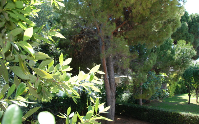 Villa Alexander