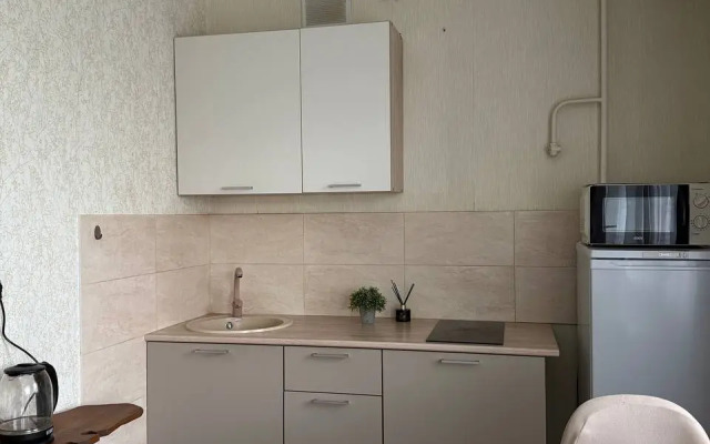 Квартира однокомнатная Грибоедова 8