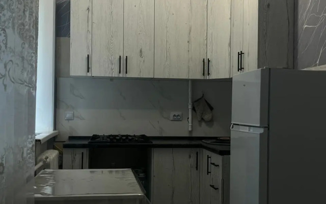 Studiya V Tsentre Goroda Ryadom S Zhd Vokzalom Flat