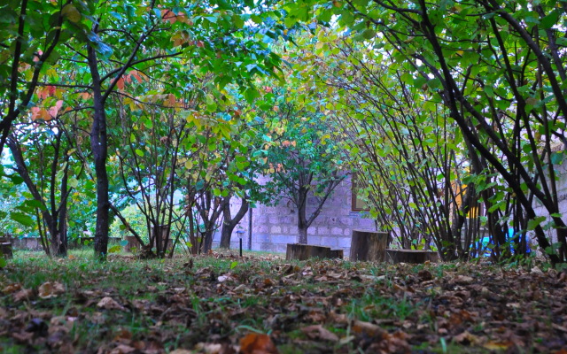 Kamar Guest house