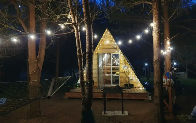 Шале неДача