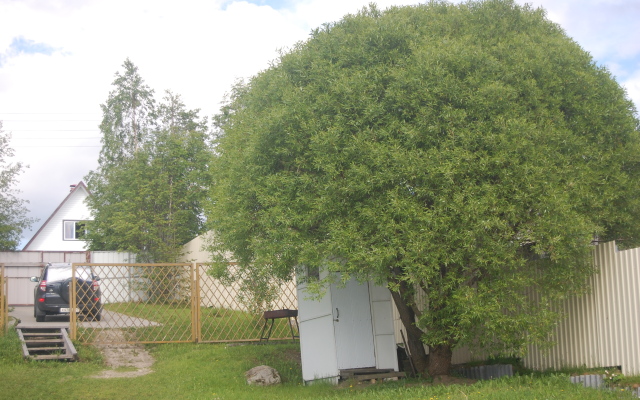 Na Nedelku Do Vtorogo Guest House