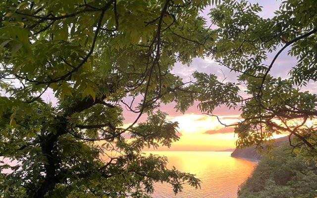 Paradise
