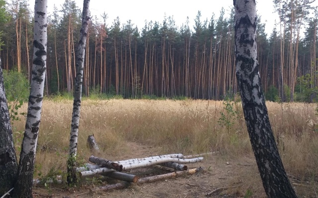 Жилое помещение Замок у Леса