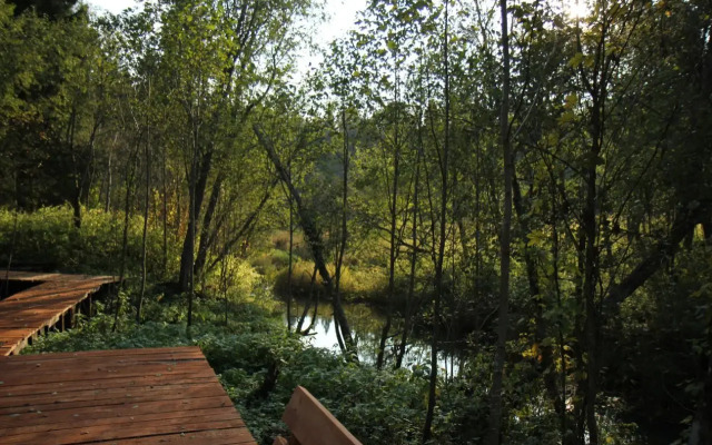 Siniy Domik V Lesu Na Zhivopisnoy Ulitse Glamping