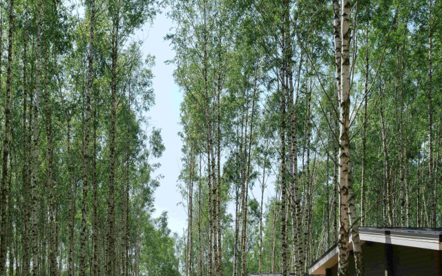 Глэмпинг Norke Есенинская Русь