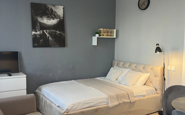 Квартира Студия Белоснежка в Видном