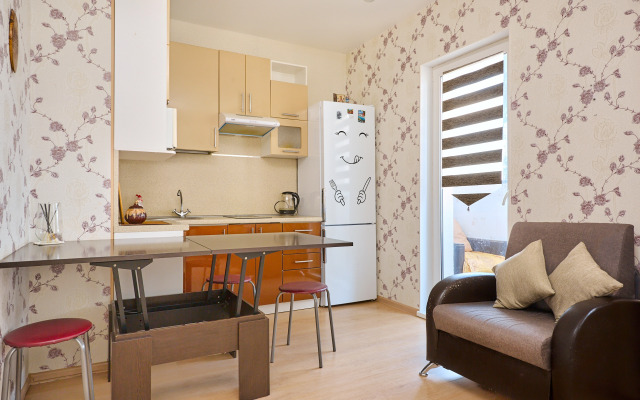Uyutnaya Studiya Na Drevlyanke Flat