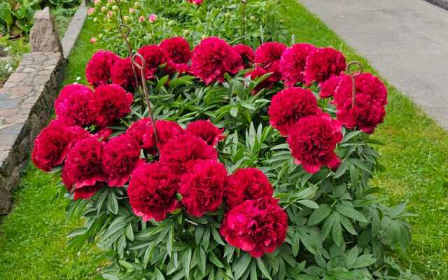 Гостевой дом Усадьба у моря