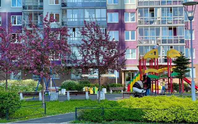 Molochny Shokolad Flat