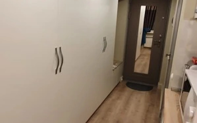 Апартаменты Шереметьевская