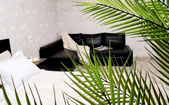 Квартира  Лофт около аквапарка