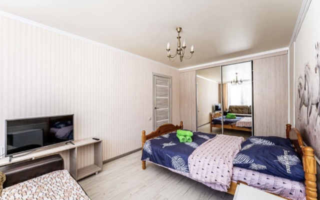 Tsentralnaya 6/2 Apartments