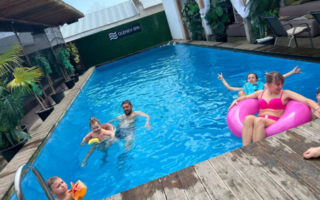 Olenev_spa Guest house