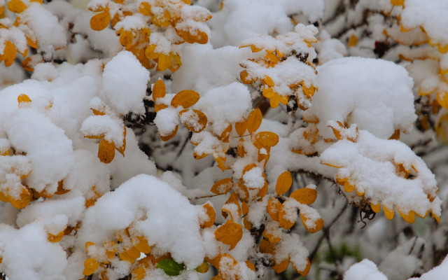 Отель 40-й Меридиан Яхт-клуб