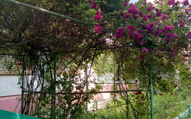 Armavir Rayon Rodina, Zh D Vokzal Armavir - Tuapsinskiy Flat