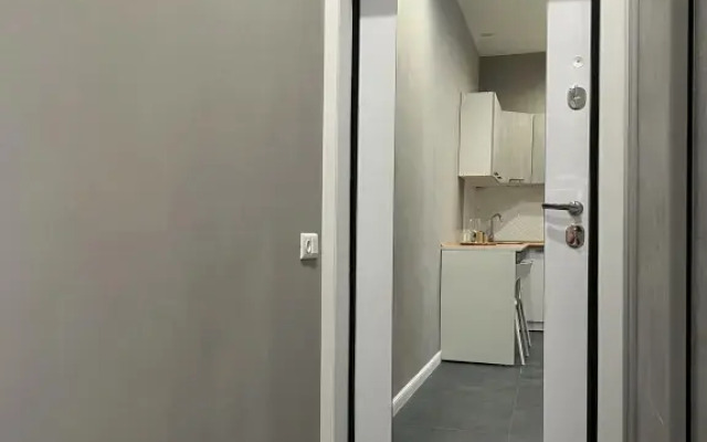 Апартаменты Stepanenkov на Воеводина 4 (3)