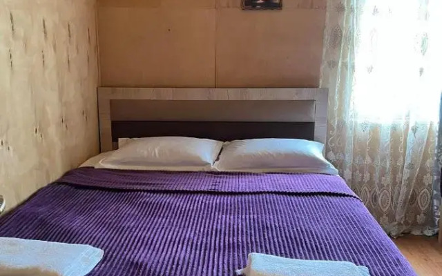 Old Omalo Guest house