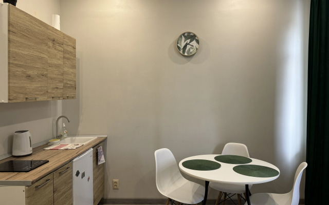 Studiya v tsentre goroda Flat