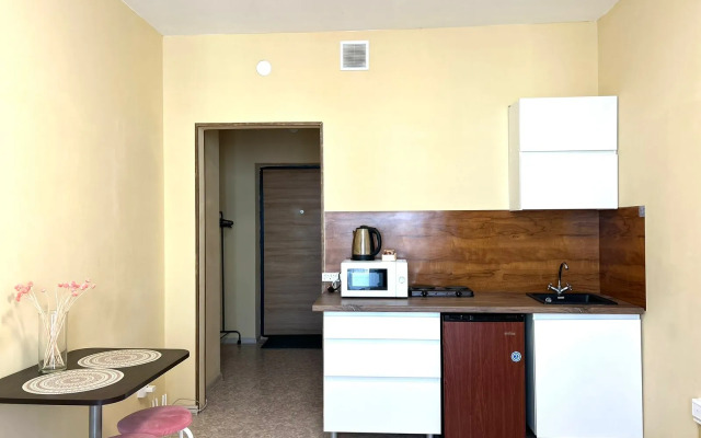 Studiya Vozle Bobrovogo Loga Flat