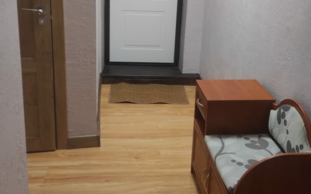Centr Repina Street Flat