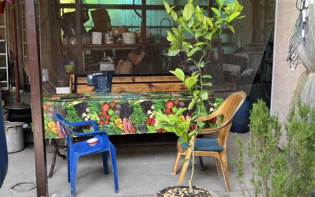 Kurortnyi roman Guest house