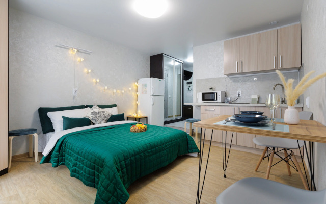 Uyutnaya studiya u Korolevskikh vorot Apartments