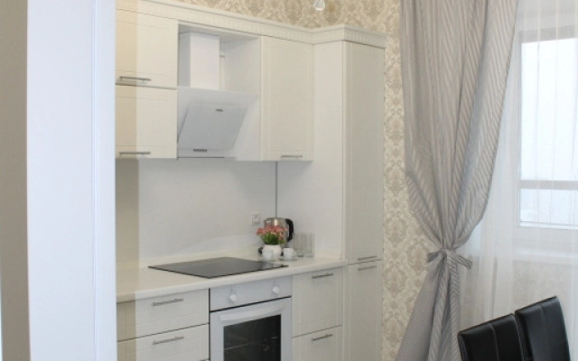 Apartments Stolichny 17