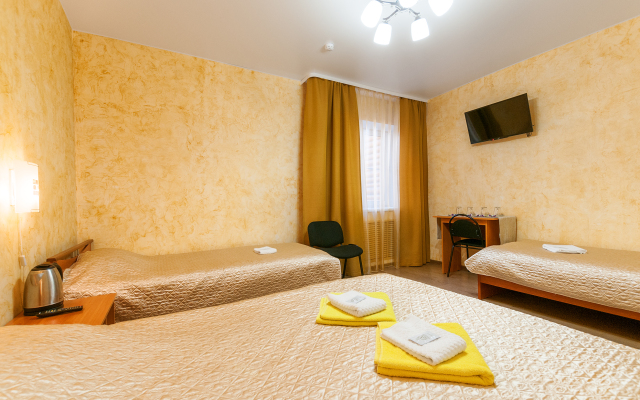 Staryij Pskov Guest house
