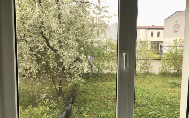 2-kh komnatnaya Amber apartment Flat