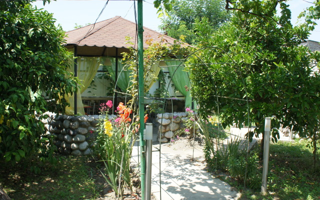 Lukomorye V Alakhadze Guest House