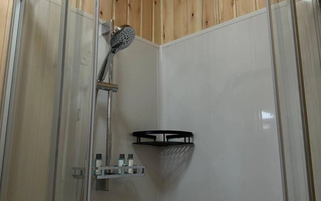 Частный дом на Свободной 70