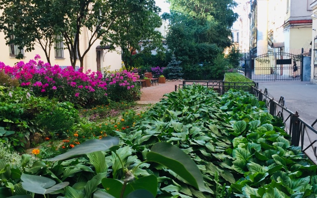 Квартира в центре Санкт-Петербурга