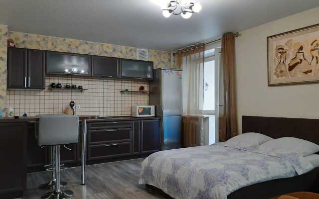 Квартира Студия на Северной